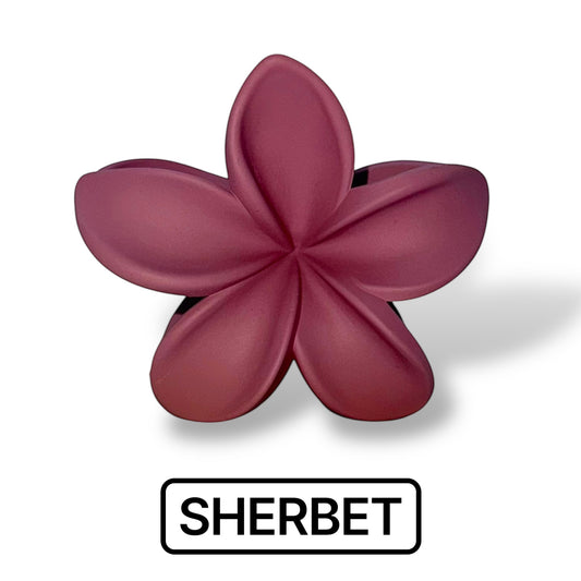Sherbet - Flower Hair Claw