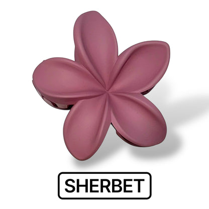 Sherbet - Flower Hair Claw